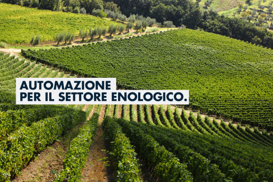 La gamma di sensoristica per l’industria vitivinicola di Trafag Italia